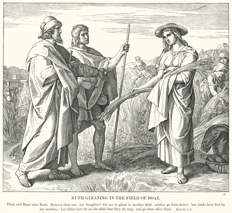 Ruth Leest in het Veld van Boaz (gravure) door Julius (after) Schnorr von Carolsfeld