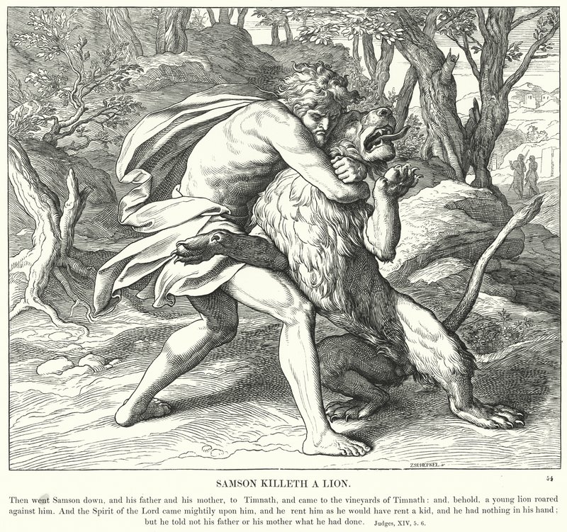 Simson Doodt een Leeuw door Julius (after) Schnorr von Carolsfeld