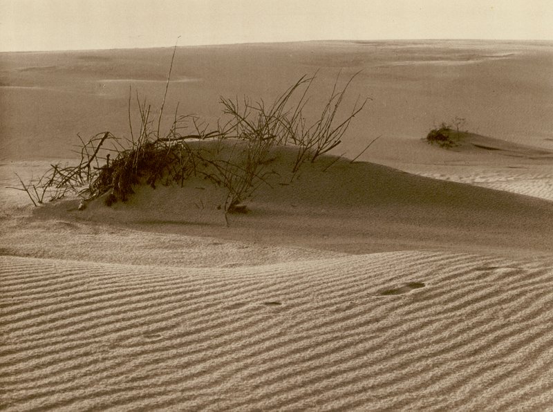 Wanderdune op de Koerse Schoorwal ten noorden van Rossitten door Kurt Hielscher
