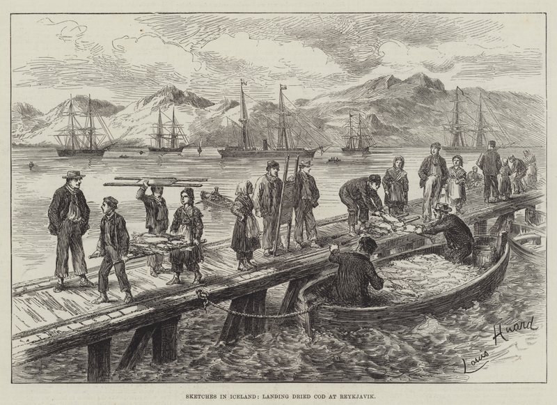 Schetsen in IJsland, het lossen van gedroogde kabeljauw in Reykjavik door L. Huard