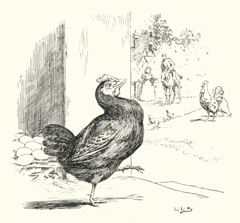 Higgley Piggley, mijn zwarte hen door Leonard Leslie Brooke