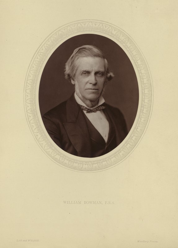 Portret van Sir William Bowman door Lock and Whitfield