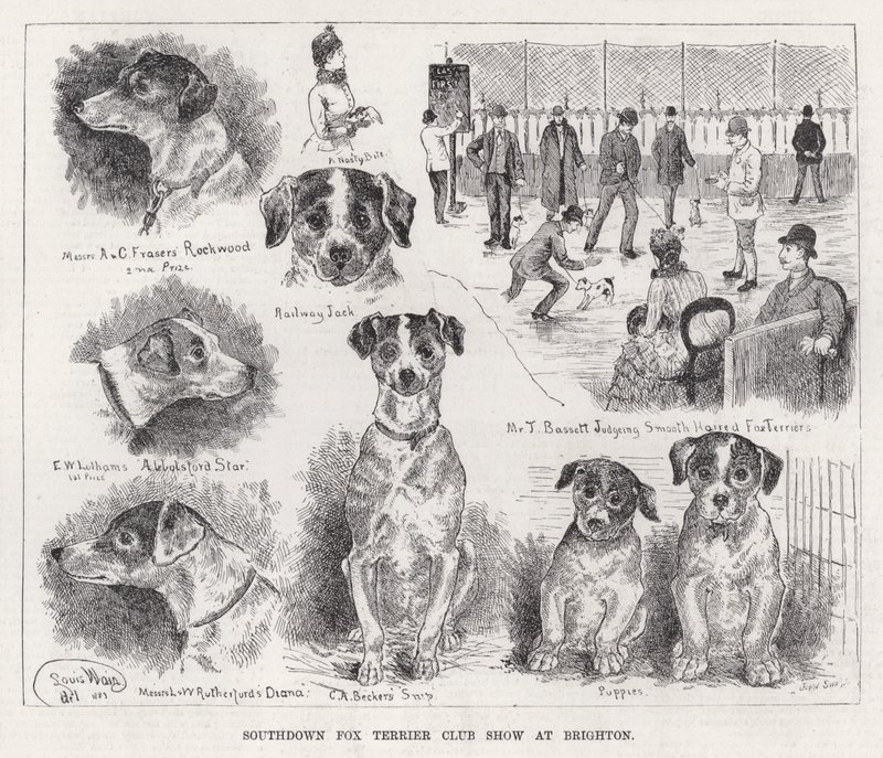 Southdown Fox Terrier Club Show in Brighton door Louis Wain