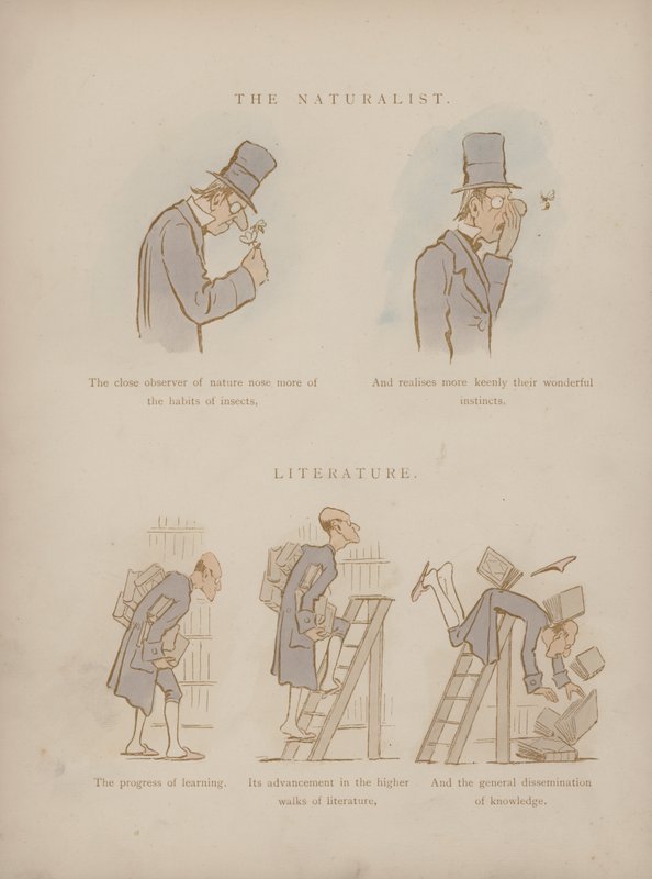 Pagina uit de Humours of Cynicus (gekleurde gravure) door Martin  Anderson