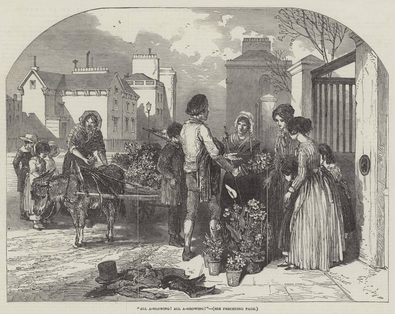 Alles bloeit! Alles groeit! door Myles Birket Foster