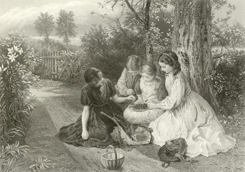 Een feest van kersen door Myles Birket Foster