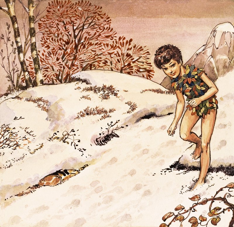 Peter Pan door Nadir Quinto