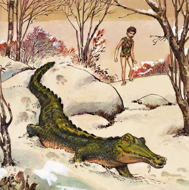 Peter volgt de krokodil, illustratie uit 