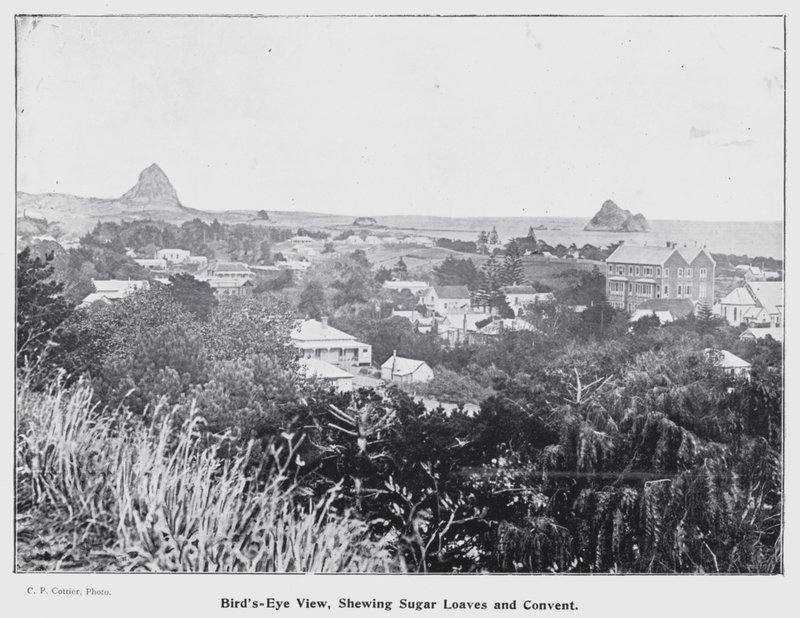 Nieuw Plymouth, Nieuw-Zeeland: Vogelvlucht, met Suikerbroden en Klooster door New Zealand Photographer