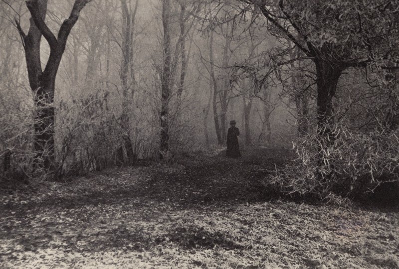 In het Bos van Wenen door Nichol Elliot