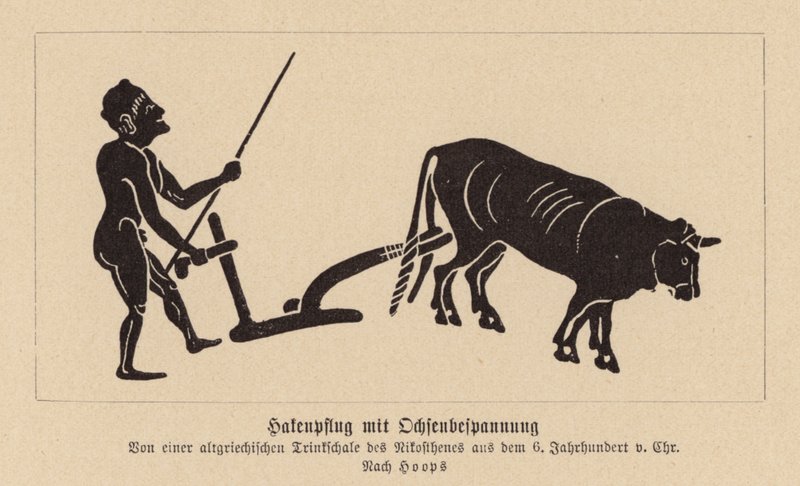 Oude Griekse os-getrokken ploeg door Nikosthenes