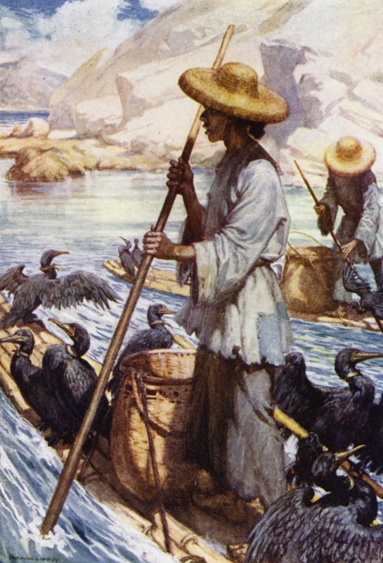 China: Vissen met aalscholvers door Norman Hardy