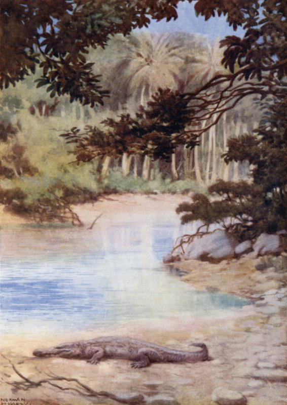 Het huis van de krokodil, Britse Salomonseilanden door Norman Hardy