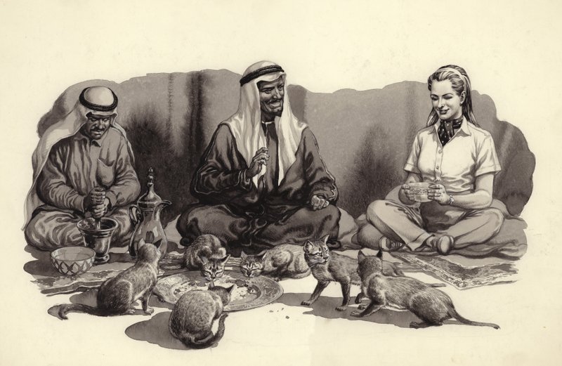 Een Arabische man voert zijn katten (gouache op papier) door Pat (1907-95) Nicolle