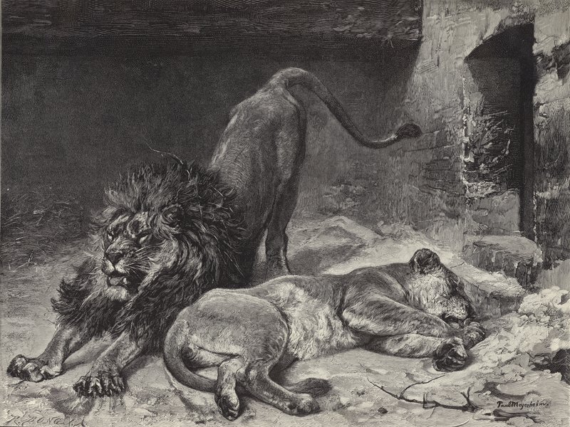 Het Ontwaken van de Leeuw door Paul Friedrich Meyerheim