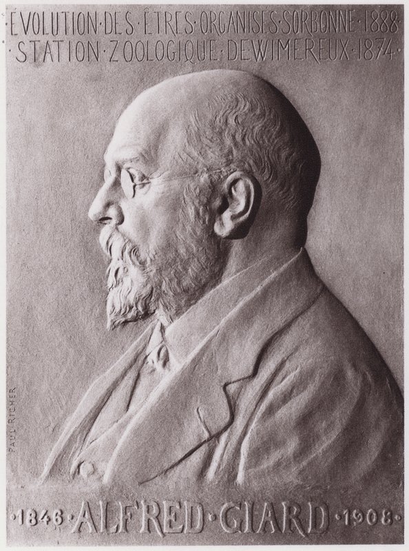 Alfred Giard (1846-1908), zoöloog, portret door Paul Marie Louis Pierre Richer