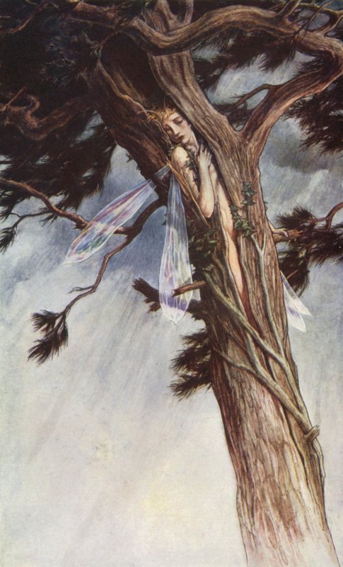 De Storm door William Shakespeare, Act I, Scene 2 door Paul Vincent Woodroffe