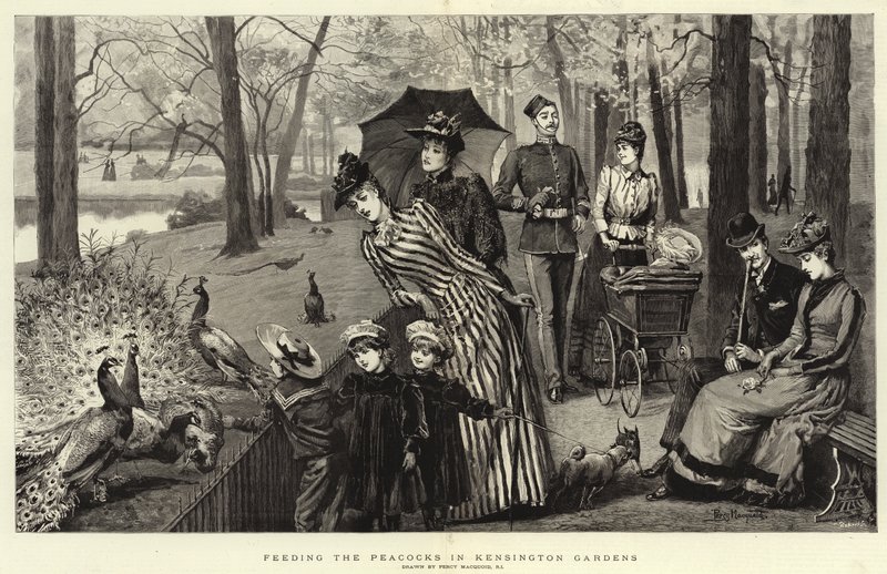De pauwen voeren in Kensington Gardens door Percy Macquoid
