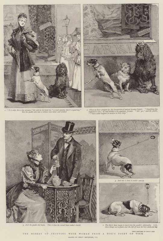 De ellende van winkelen met vrouwen vanuit het oogpunt van een hond door Percy Macquoid
