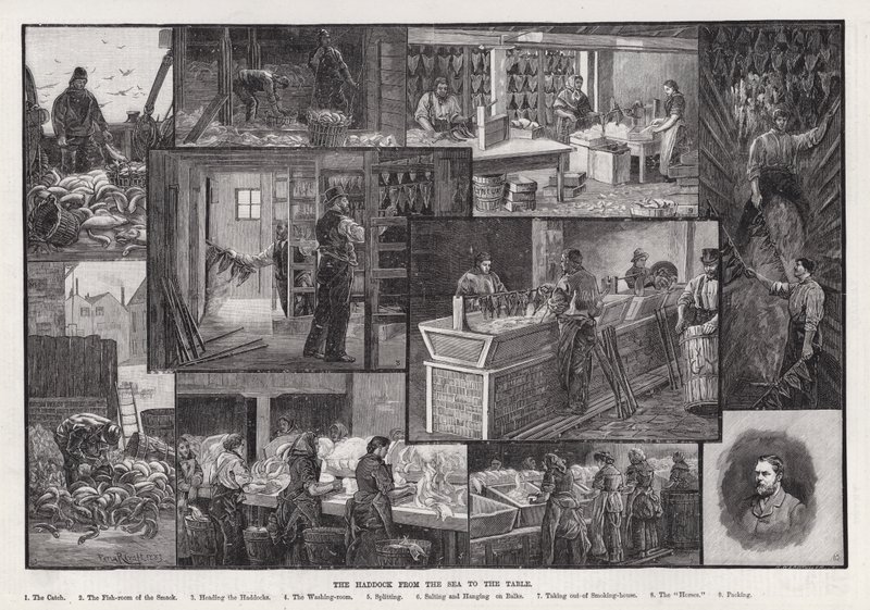 De Schelvis van de Zee naar de Tafel door Percy Robert Craft