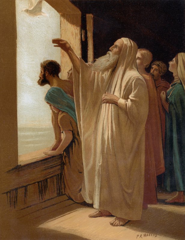 Noach stuurt de duif uit tijdens de zondvloed door Philip Richard Morris