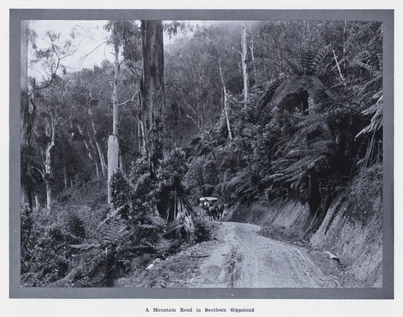 Een bergweg in Zuid-Gippsland door Photographer Australian