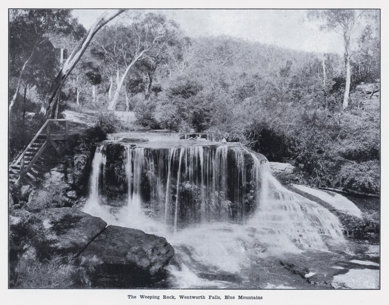 De Huilende Rots, Wentworth Falls, Blue Mountains door Photographer Australian