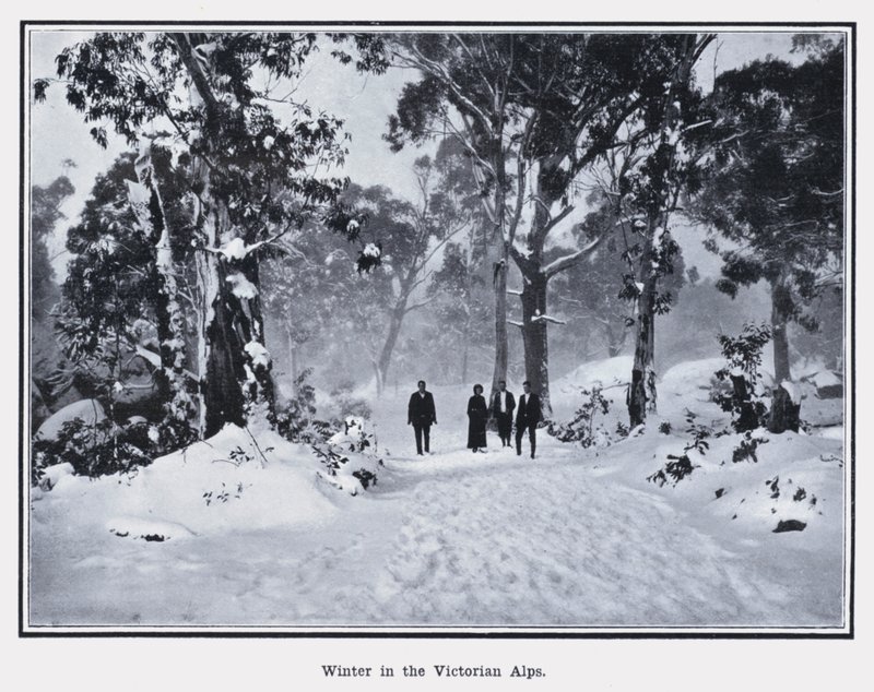 Winter in de Victoriaanse Alpen door Photographer Australian