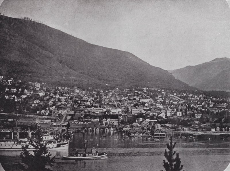 Nelson, vanaf de Kootenay River door Photographer Canadian
