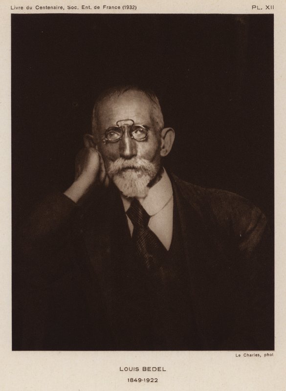 Ernest Marie Louis Bedel, Franse entomoloog door Photographer French
