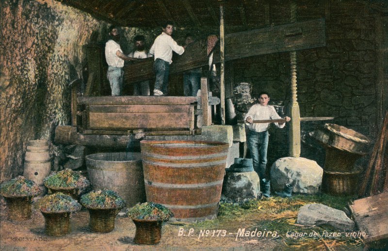 Wijnpers, Madeira, Portugal (z/w foto) door Photographer Portuguese