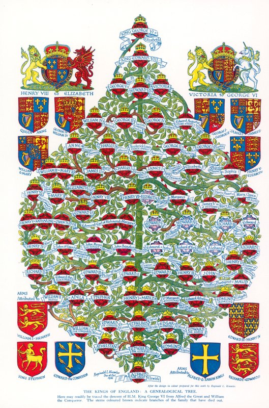 De koningen van Engeland, een genealogische boom (kleurenlitho) door Reginald & Horace (1884 1954) Knowles