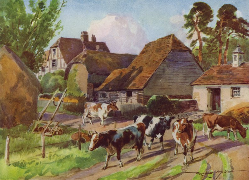 Illustratie voor Mijn Boerderij door Reginald Mills