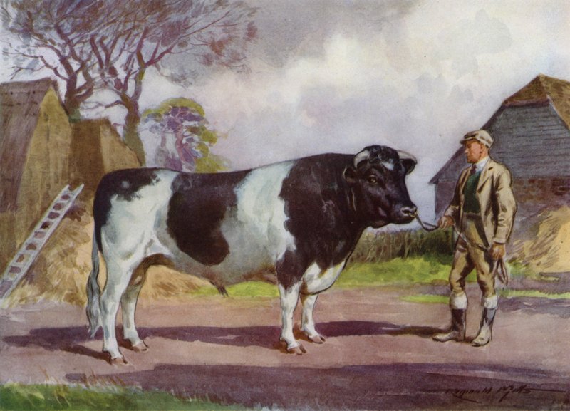 Illustratie voor Mijn Boerderij door Reginald Mills