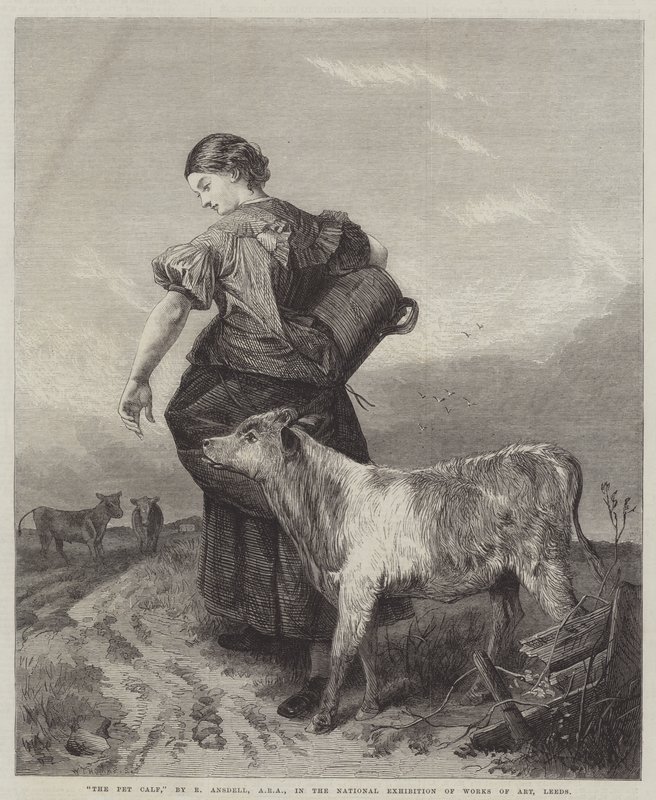 Het huisdierkalf door Richard Ansdell