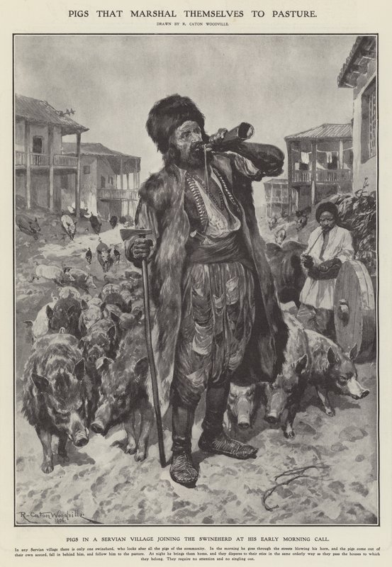 Varkens die zichzelf naar de wei leiden (litho) door Richard Caton II (after) Woodville