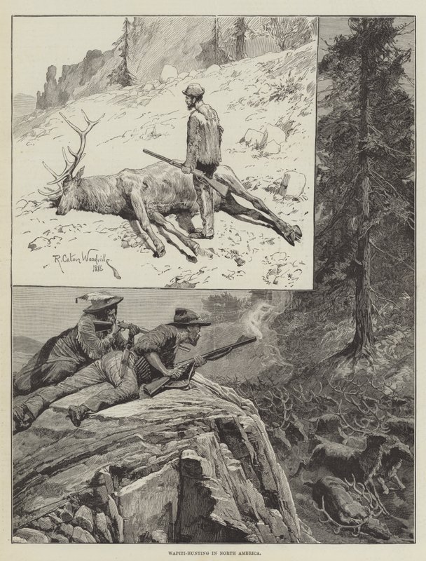 Wapiti-jacht in Noord-Amerika (gravure) door Richard Caton II (after) Woodville