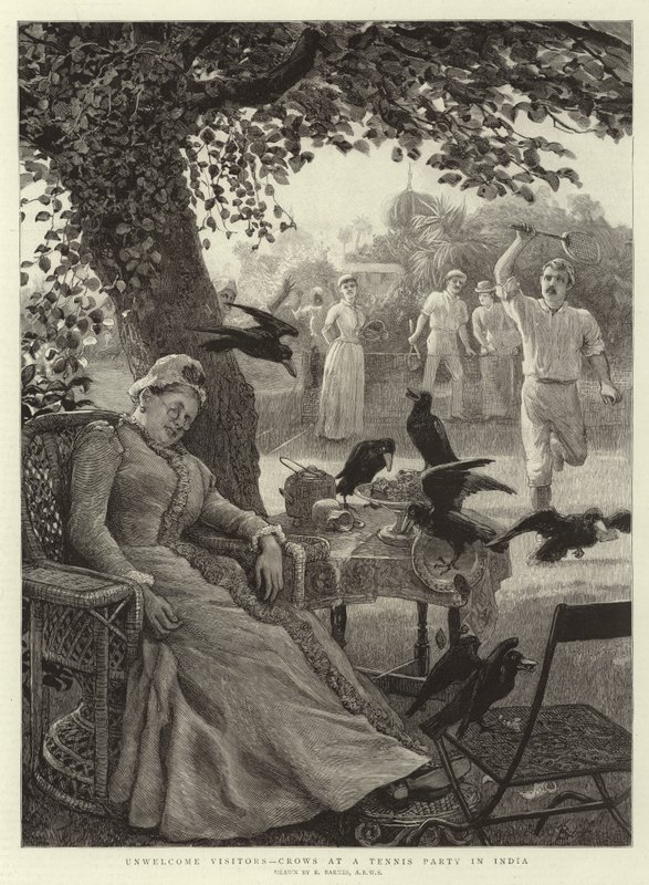 Ongewenste bezoekers, kraaien op een tennisfeest in India door Robert Barnes