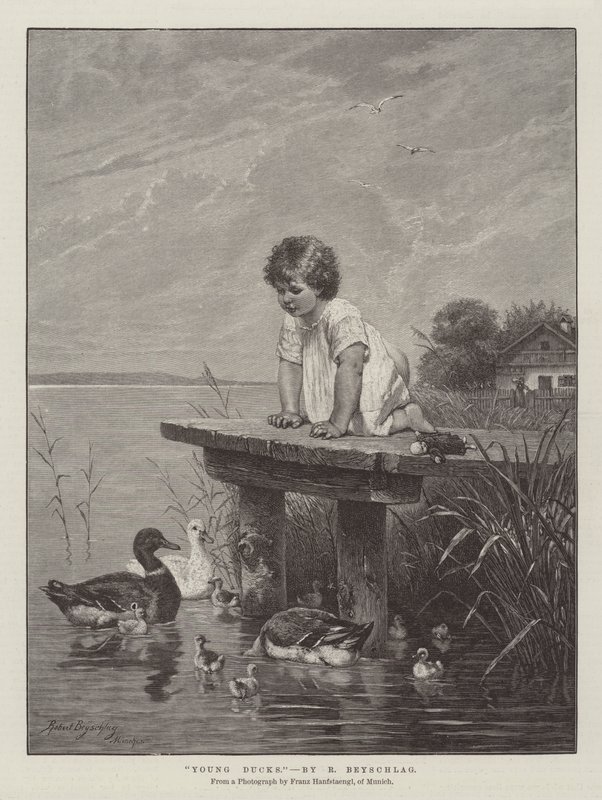 Jonge eenden door Robert Julius Beyschlag