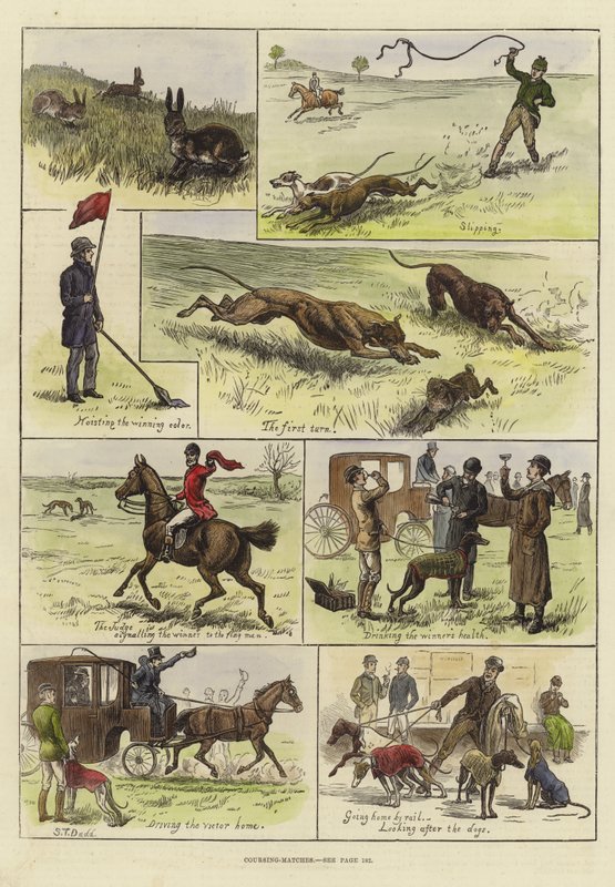 Coursing wedstrijden door S.T. Dadd