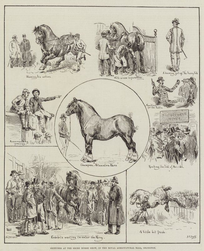 Schetsen op de Shire Horse Show, in de Royal Agricultural Hall, Islington door S.T. Dadd