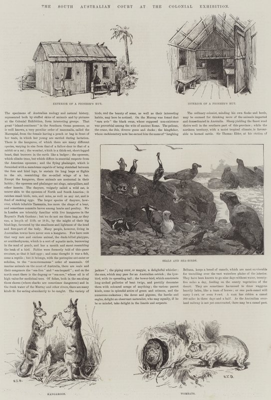 Het Zuid-Australische Hof op de Koloniale Tentoonstelling door S.T. Dadd