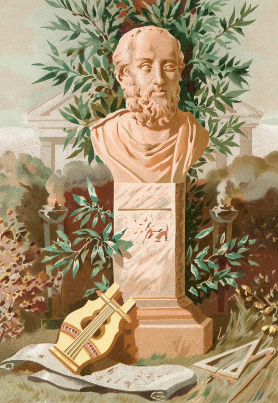 Plato door S. Gomez