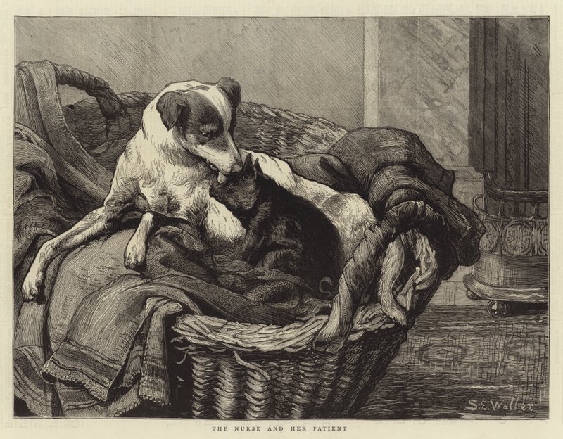 De verpleegster en haar patiënt door Samuel Edmund Waller
