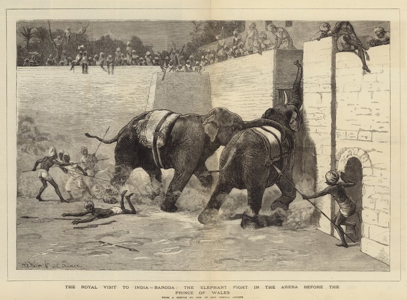 Het koninklijk bezoek aan India, Baroda, het olifantengevecht in de arena voor de Prins van Wales door Samuel Edmund Waller