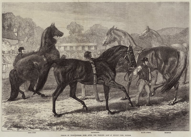Parade van Volbloed Hengsten na de Jaarlingverkoop in Middle Park, Eltham door Samuel John Carter