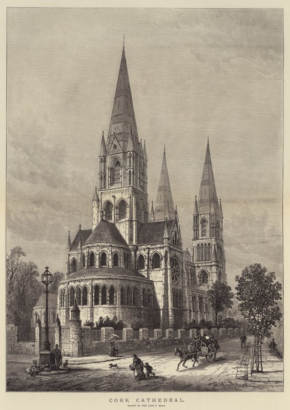 Kathedraal van Cork door Samuel Read