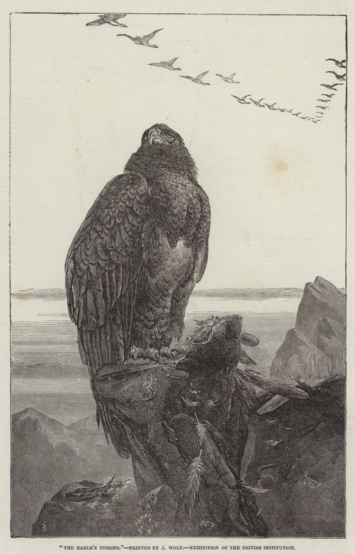 De Adelaarstroon, Tentoonstelling van de Britse Instelling door Samuel Read