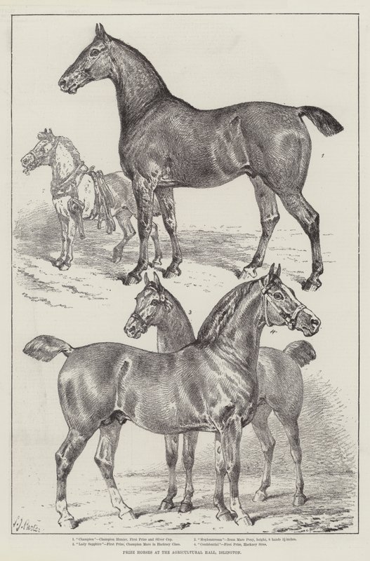 Prijswinnaars op de landbouwtentoonstelling, Islington door Samuel John Carter