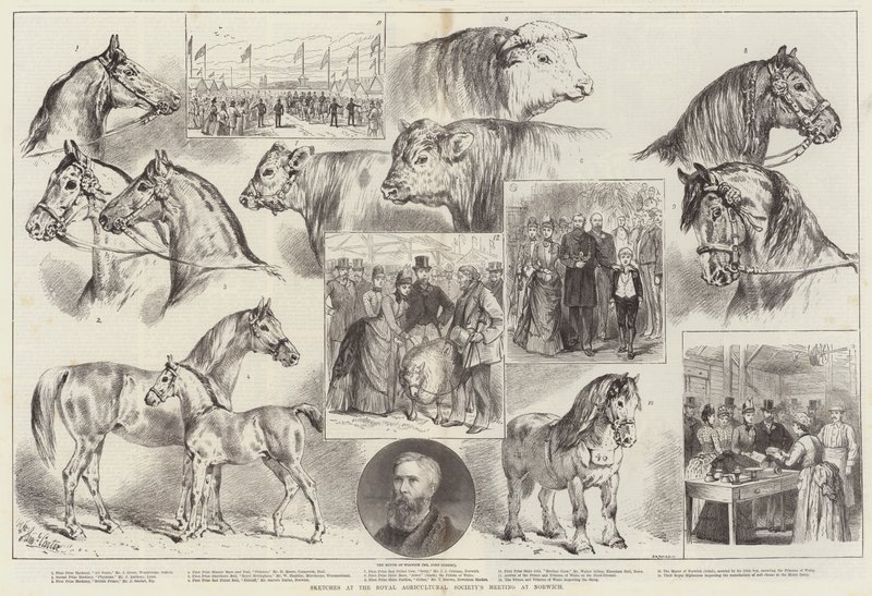 Schetsen op de bijeenkomst van de Koninklijke Landbouwmaatschappij in Norwich door Samuel John Carter